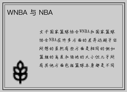 WNBA 与 NBA 